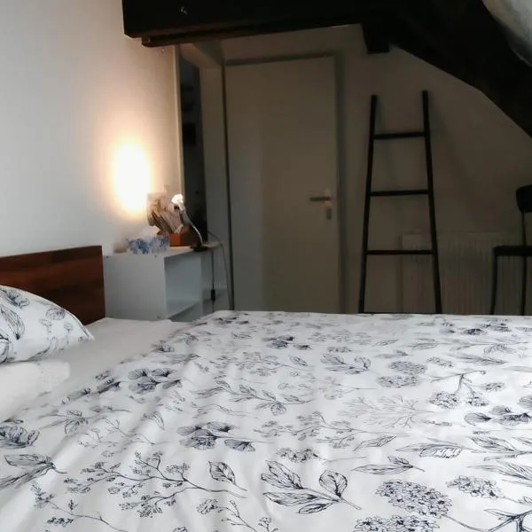Basel Rühige Zimmer mit grösse Doppelbett，位于Binningen的酒店