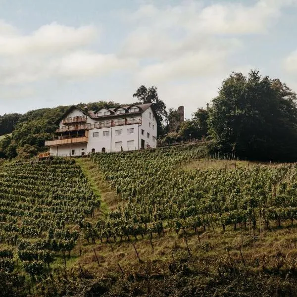 THE HUS am Weinberg，位于Flums的酒店