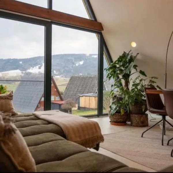 Alva Rhön Panorama Ferienhaus - Auszeit mit Kamin，位于Frankenheim的酒店