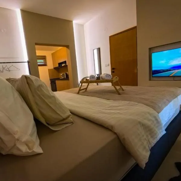 Apartman Aleksandra，位于Bečej的酒店