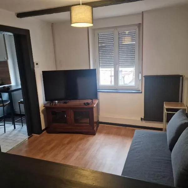 Appartement 45m2 à Florange，位于Florange的酒店