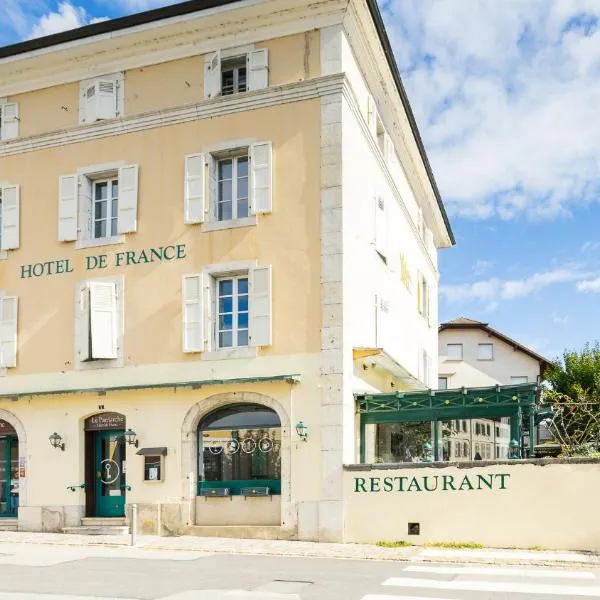 Hôtel de France - Le Patriarche，位于费内-伏尔泰的酒店