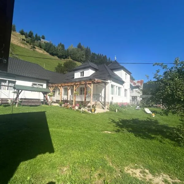 Casa cu Bujori，位于米奥修德萨斯的酒店