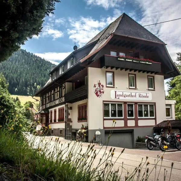 兰德加斯托罗斯酒店，位于Oberbiederbach的酒店