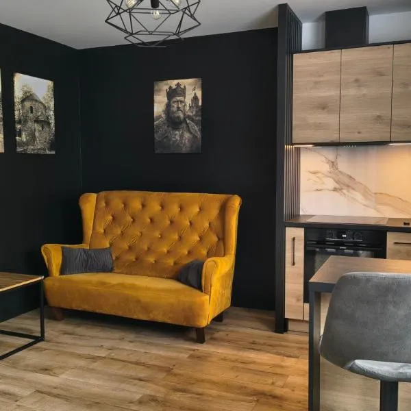 Apartament Mieszko，位于切申的酒店