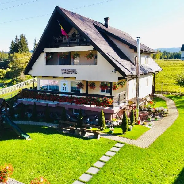 Casa Sofia Dorna Candrenilor，位于Dorna Cîndrenilor的酒店