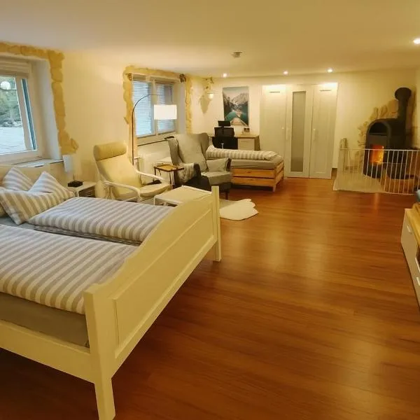 Ferienwohnung Hecht - Biketrail Fun & Relaxing，位于沃尔夫埃格的酒店