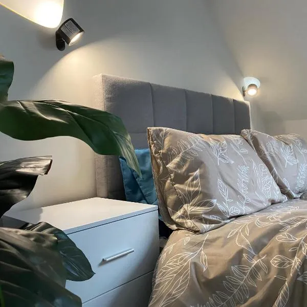 The Cottontail - Modern Private Room With Breakfast - Tamworth，位于塔姆沃思的酒店