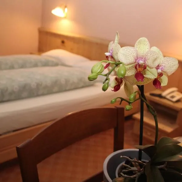Albergo Caravasc，位于利维尼奥的酒店