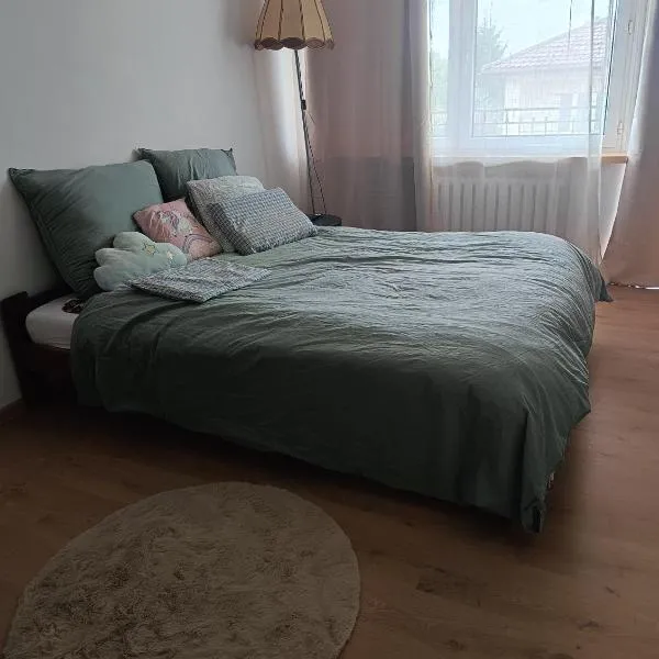 Noclegi Jak u Babci，位于Nowe Miasto的酒店