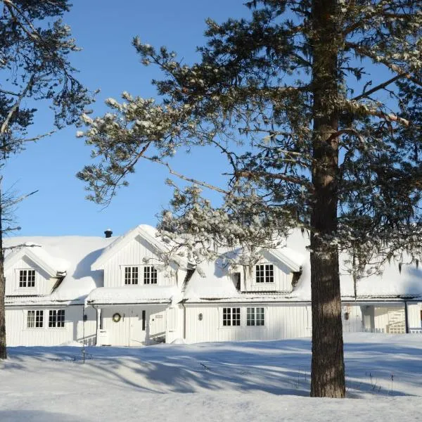 Fulufjellet nationalpark Lodge - Home of snow, nature and peace，位于Ljørdalen的酒店