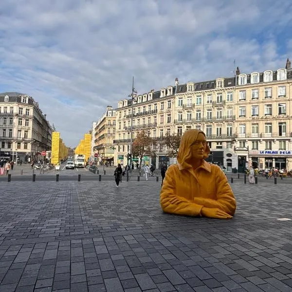 Studio en face de la Gare Lille Flandres，位于里尔的酒店