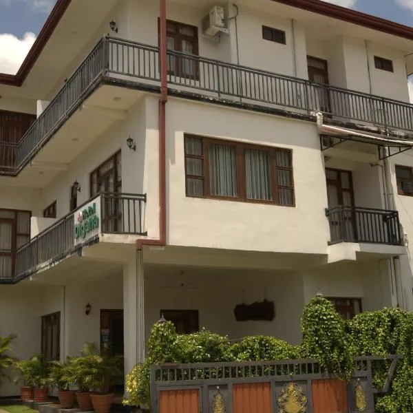 Hotel Digana，位于迪加纳的酒店
