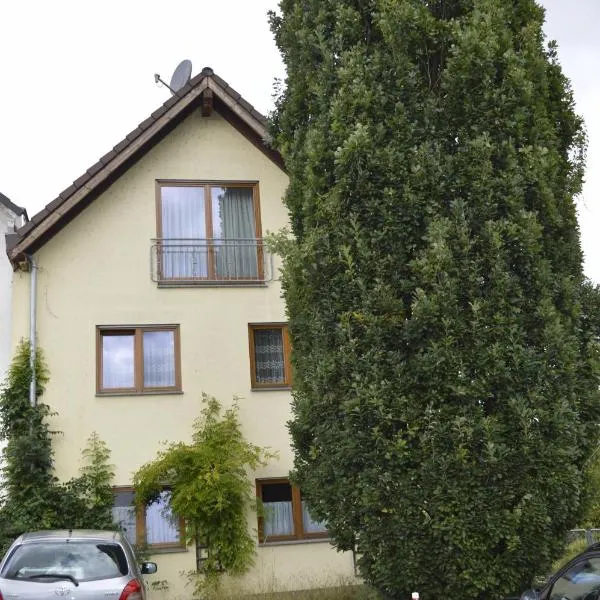 Ferienhaus Ahler Kopf，位于兰施泰因的酒店