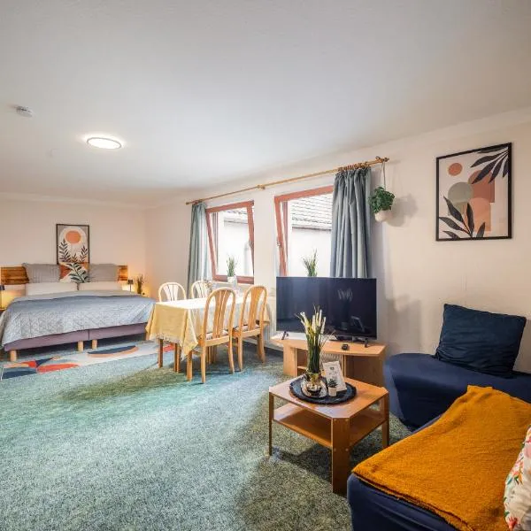 Großes Studio in Altstadt - Uni & Schloss zu Fuß erreichen，位于弗赖贝格的酒店