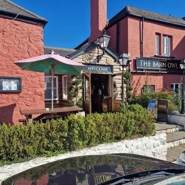 Barn Owl Inn，位于牛顿阿伯特的酒店