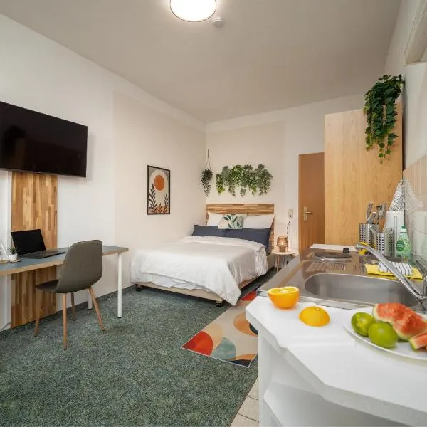 Ruhiges Studio in Altstadt mit Gartenblick & Sofa，位于弗赖贝格的酒店