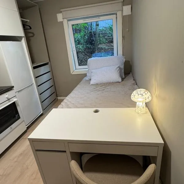 Studio in Oslo，位于奥斯陆的酒店