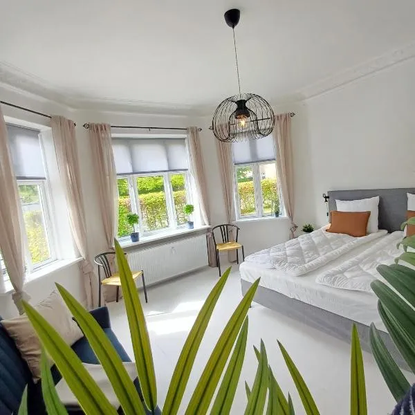 Exclusive Luxury Apartment in the Heart of Aalborg，位于奥尔堡的酒店