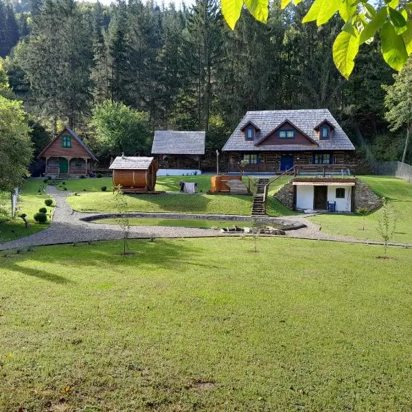 Casa Grosu，位于Preluca的酒店