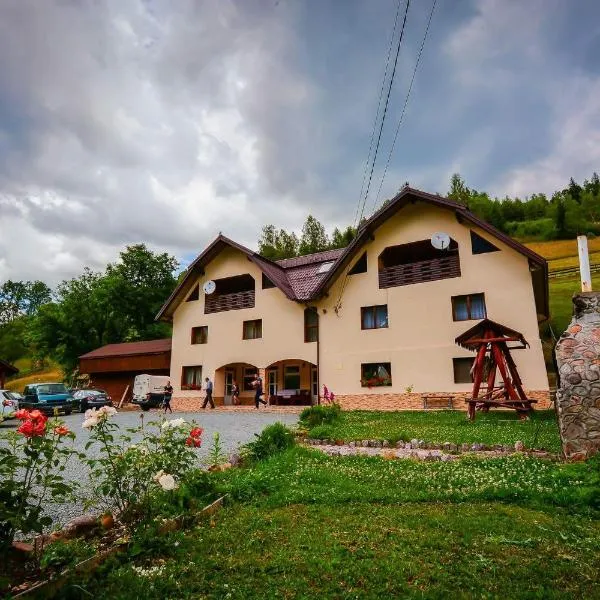 Pensiune Agroturistică Casa Alex，位于Baba的酒店