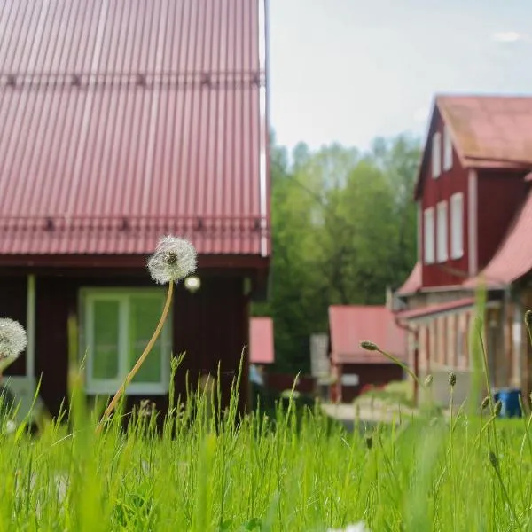 Voore Puhkekeskus，位于Voore的酒店