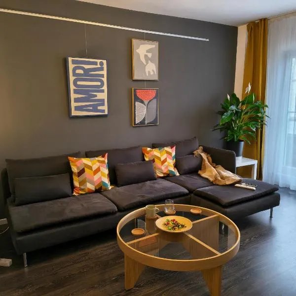 Ospitalier Student Grey - spacious close to UVT，位于蒂米什瓦拉的酒店