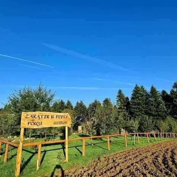 Zakątek u Poety Dąbrówka，位于亚斯沃的酒店