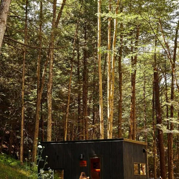 Postcard Cabins Eastern Catskills, Outdoor Collection by Marriott Bonvoy，位于卡茨基尔的酒店