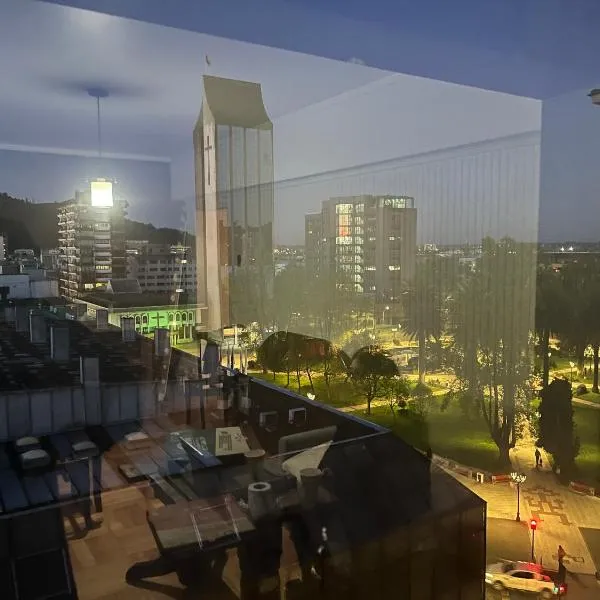 Plaza Centro，位于特木科的酒店