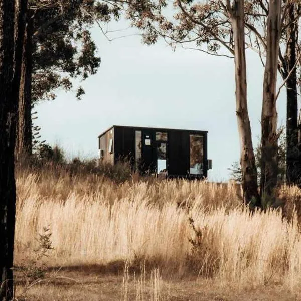 Rainbow Retreat X by Tiny Away，位于Tallwoods Village的酒店