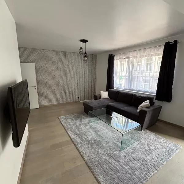 Stylish, modern & spacious apartment in Brussels，位于布鲁塞尔的酒店