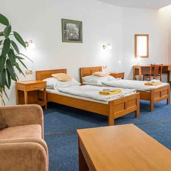 Hotel Staré Časy Pardubice，位于帕尔杜比采的酒店