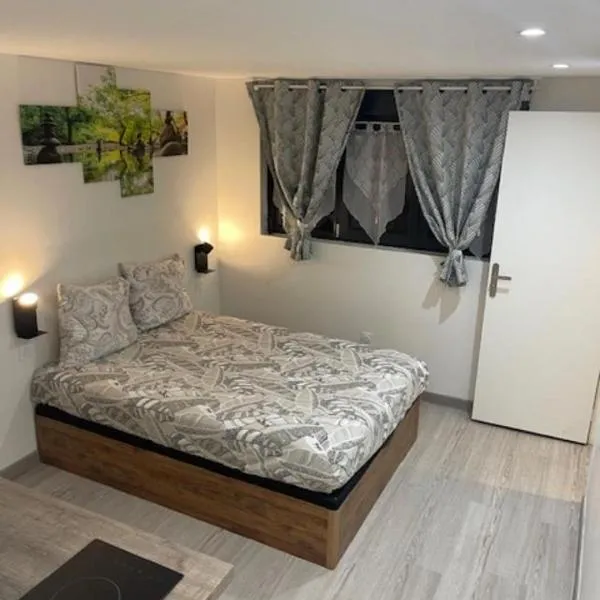 Silver Stuidio ARENA , Stade Groupama , Eurexpo，位于梅济约的酒店