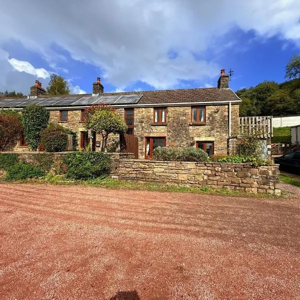 Tunnel Cottages at Blaen-nant-y-Groes Farm，位于阿伯代尔的酒店