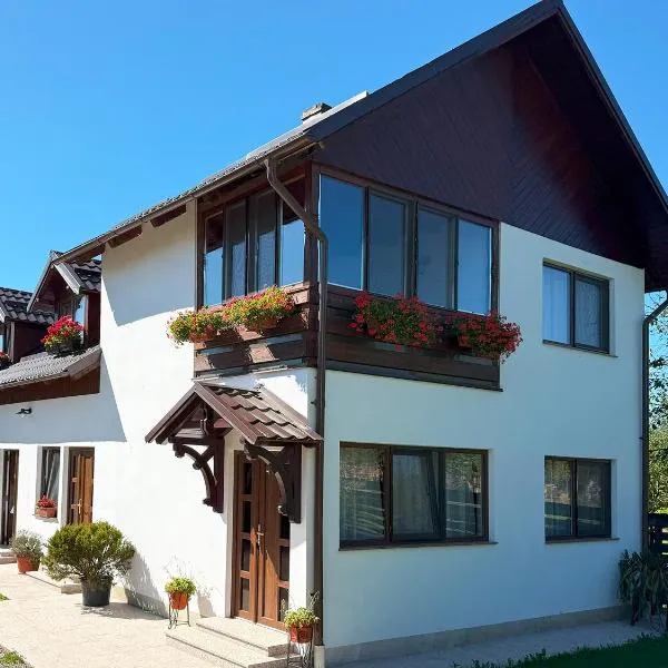 Casuta Fulgu - sa te simti ca acasa!，位于博尔沙的酒店