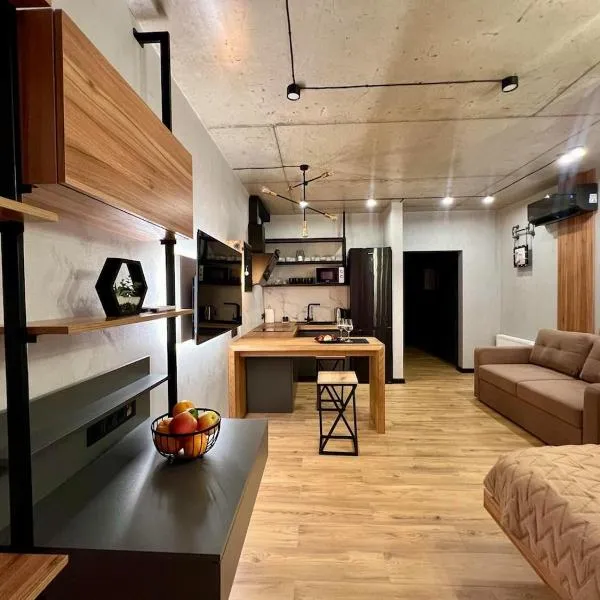 NEW Loft-style studio，位于日托米尔的酒店