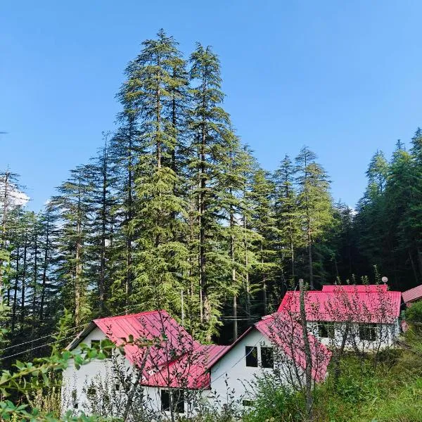Mistymountaincottage，位于西姆拉的酒店