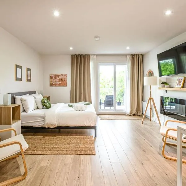 Studio Scandinave by Gestion ELITE，位于蒙特朗布朗的酒店