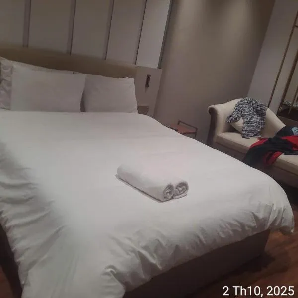 Sulina Hlels 4，位于胡志明市的酒店