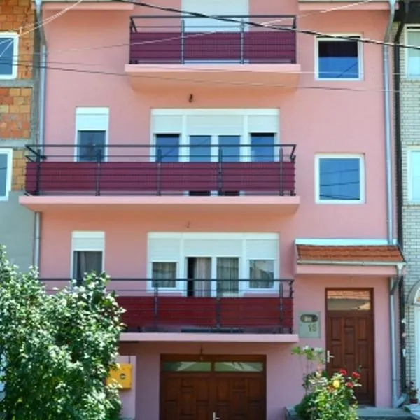 Guest House Trajkovic，位于雅戈丁那的酒店