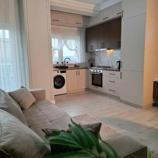 Sky Towers Apartment，位于勒德乌齐的酒店