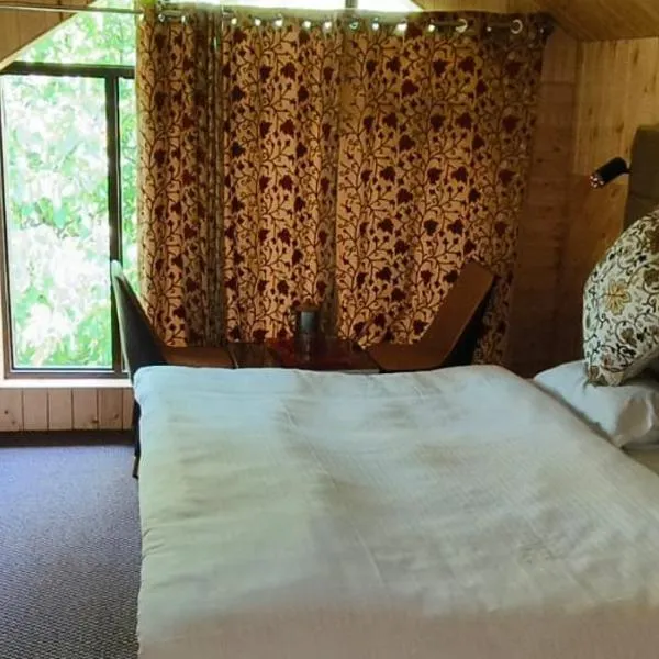 houseboat star ruby snow view，位于斯利那加的酒店