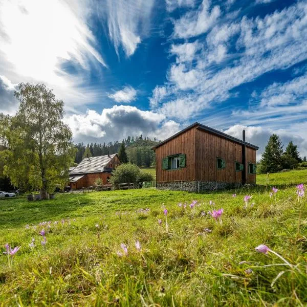 Palčovka - apartmán U Štěpána a U Dorotky，位于Huty的酒店