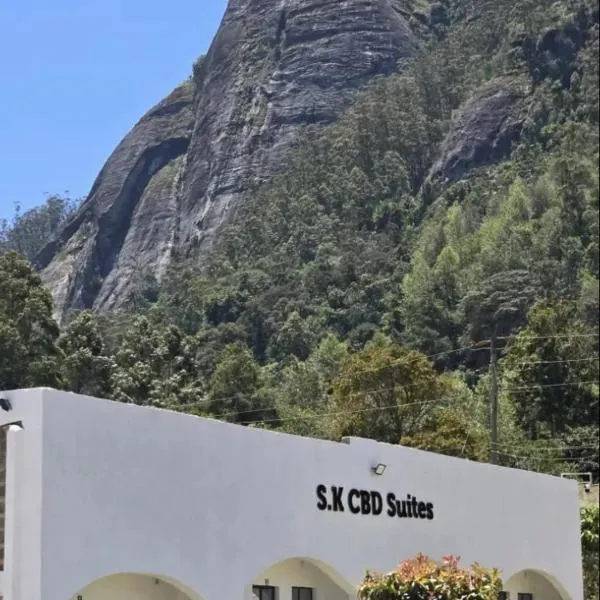 SK CBD Suites airb Wundanyi Taita Taveta County，位于Wundanyi的酒店