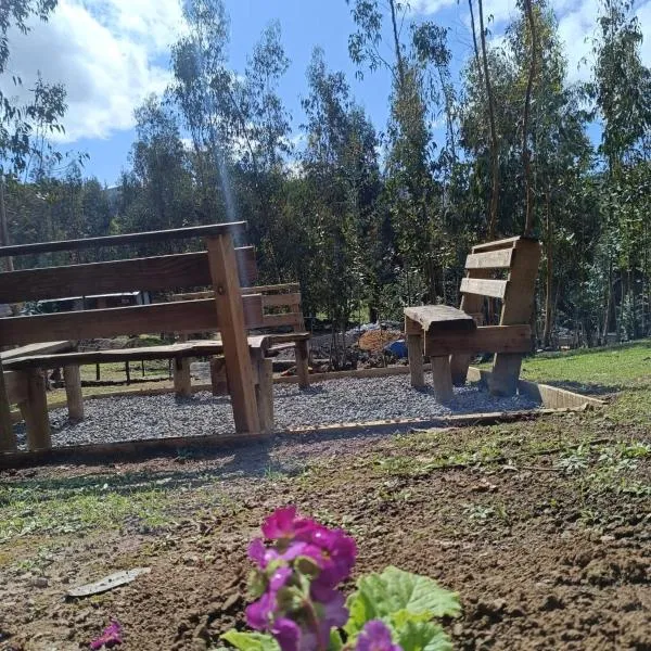 Hotel Estancia Don Domingo，位于库里科的酒店