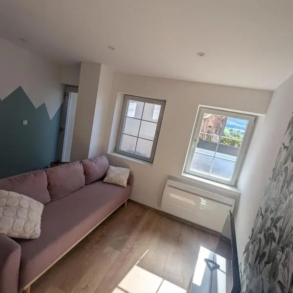 Le Triplex maison de ville rénovée，位于瓦瑟洛讷的酒店