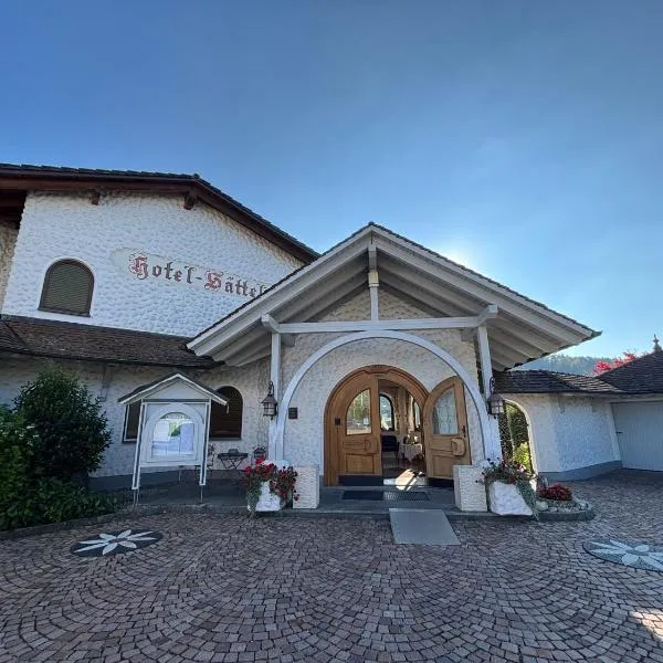 Hotel Sättele - Im Hegau, nahe Singen & Bodensee，位于Steißlingen的酒店