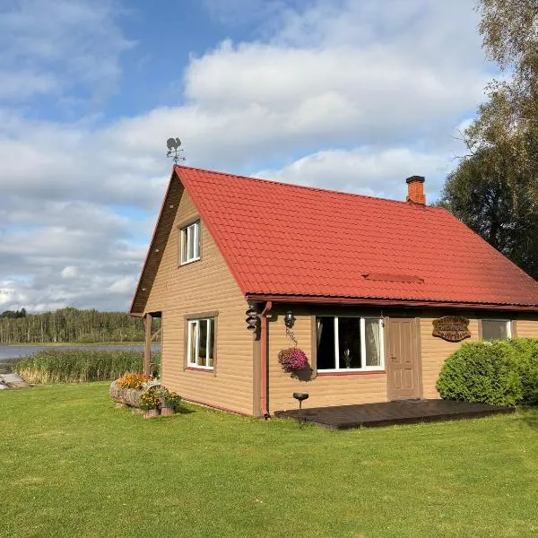 PINCIKAJAS Holiday Home，位于Malveši的酒店