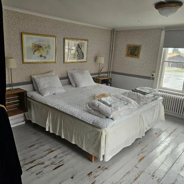 Djurgårdsportens vandrarhem，位于玛丽费莱德的酒店